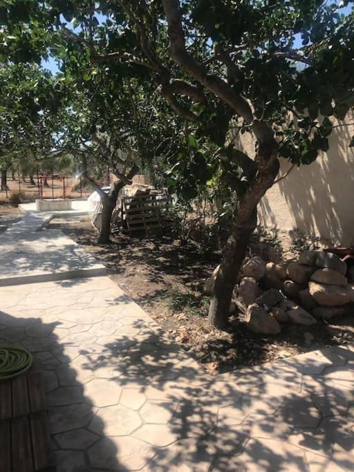 Πέτρινη Κατοικία Στην Αίγινα - Stone House In Aigina Khloi Extérieur photo