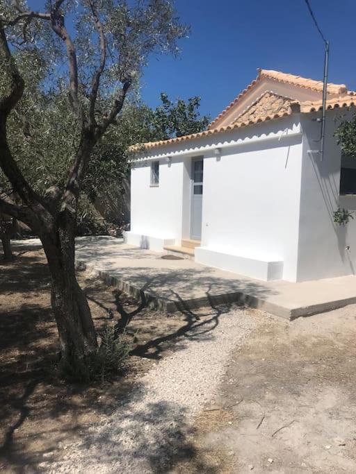 Πέτρινη Κατοικία Στην Αίγινα - Stone House In Aigina Khloi Extérieur photo